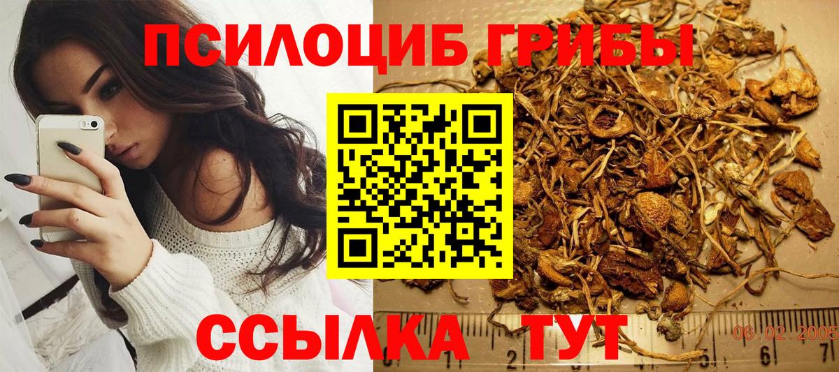 закладки  Галлюциногенные грибы Psilocybe  Псилоцибиновые грибы Psilocybe  Вход с VPN  Киржач 