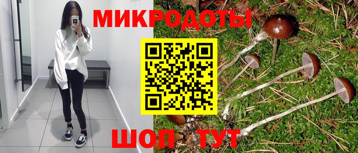 Псилоцибиновые грибы MAGIC MUSHROOMS Киржач