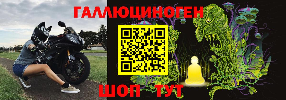 купить закладку  Киржач  Галлюциногенные грибы Psilocybine cubensis 